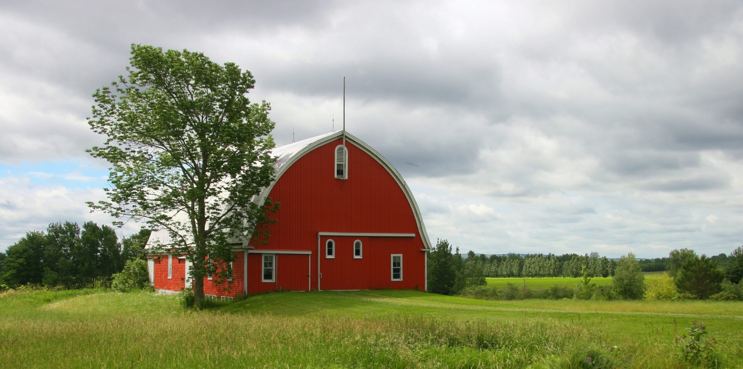 This image has an empty alt attribute; its file name is barn-1873025-scaled.jpg